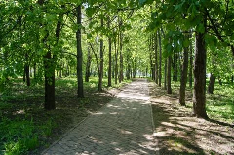 Cobbled path in the park. Stock Photos