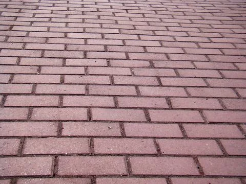 Cobbled pavement path. The path is paved with gray brick. Stock Photos