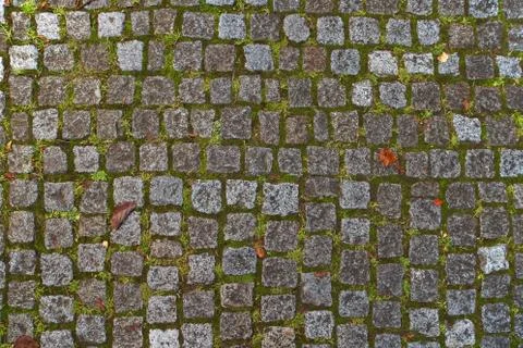 Cobbled stones texture Photos