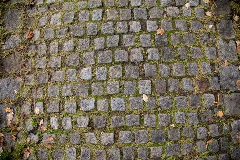 Cobbled Stones Texture Photos