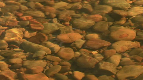 Cobbles in coastal stream, Ruby Beach, Olympic National Park, Washington Video stock 171436649