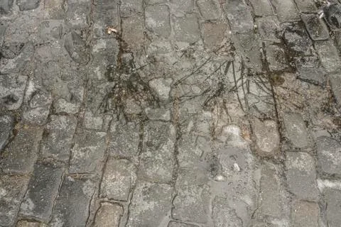 Cobblestone background Stock Photos