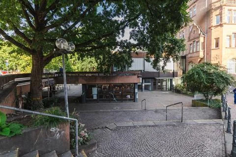 Cobblestone Courtyard Beneath a Large Tree in Marburg Stock Photos