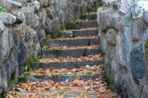Cobblestone Garden Steps Covered in Fall Leaves Stock Photos