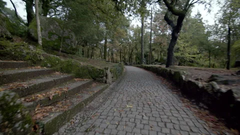 Cobblestone Path and Stone Steps Winding Through a Green Forest Park Stock Footage 321893484