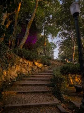 Cobblestone path and stone steps winding through lush trees Stock Photos