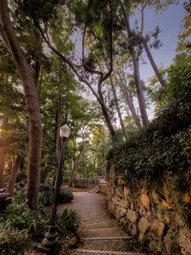 Cobblestone path and stone steps winding through lush trees Stock Photos