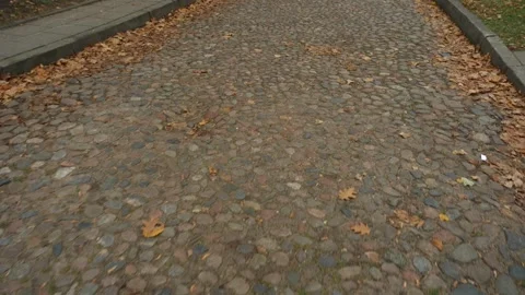 Cobblestone path with autumn leaves, steady ground POV walk Stock Footage 319987372