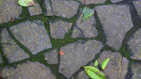 Cobblestone path with fallen leaves. as background Stock Photos