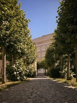 Cobblestone Path Lined with Green Trees Leading to a Building Stock Photos