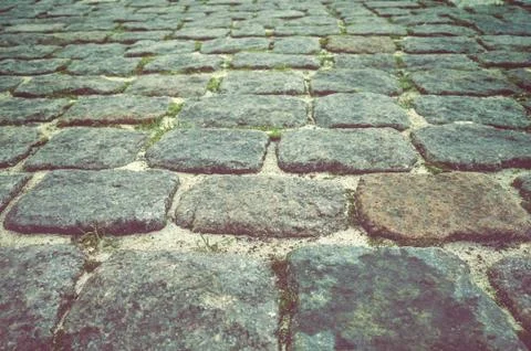 Cobblestone path in a park. 스톡 사진