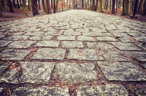 Cobblestone path in a park. 스톡 사진