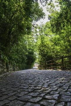 Cobblestone path through lush green forest Stock Photos