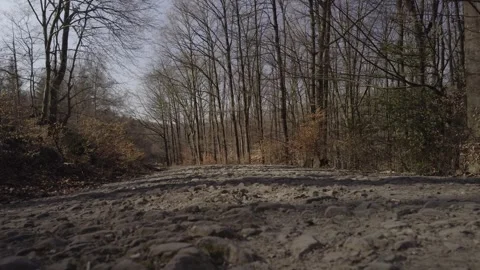 The Cobblestone Path Through Time Video stock 330184254