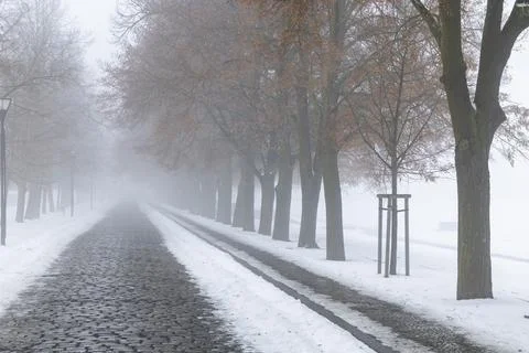 Cobblestone path winding through Mala Pevnost fog in Terezin Stockfoto's