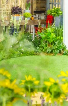 Cobblestone pathway in the garden. Stock Photos