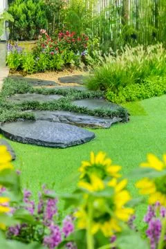 Cobblestone pathway in the garden. Stock Photos