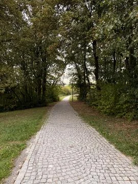 Cobblestone Pathway Through Green Forest Park In Autumn Stock Photos