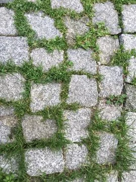 Cobblestone pavement as a background Stock Photos