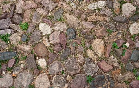 Cobblestone pavement background Stock Photos