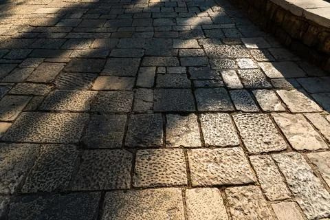 Cobblestone pavement with dappled tree shadows falling across worn stone blocks Stock Photos
