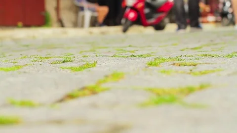 Cobblestone pavement 動画素材 78197118