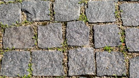 Cobblestone pavement with moss Stock Photos
