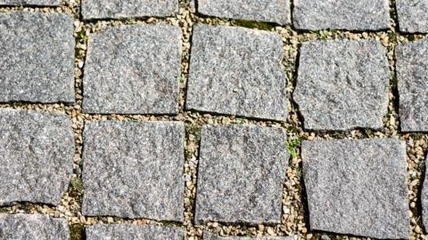 Cobblestone pavement with moss Stock Photos