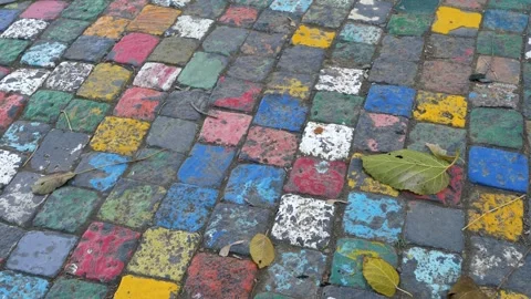 Cobblestone pavement painted in various colors, with autumn leaves, panning shot Vidéo 257806521