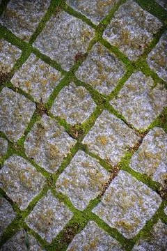 Cobblestone pavement Stock Photos