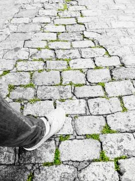 Cobblestone pavement Stock Photos