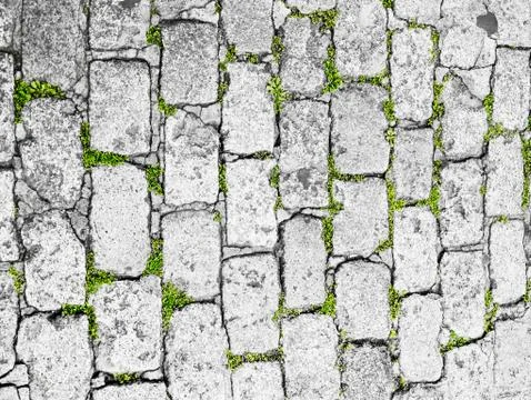 Cobblestone pavement Stock Photos