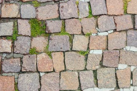 Cobblestone pavement Stock Photos