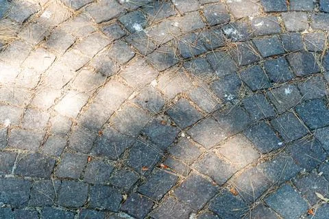 Cobblestone pavement surface with diagonal brick pattern and dry pine needles in Stock Photos