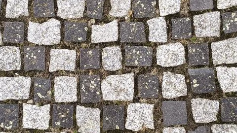 Cobblestone pavement texture background. Cobblestone pavement background. Stock Photos