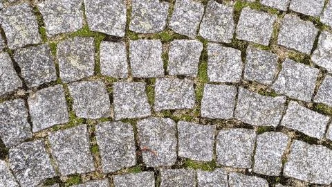 Cobblestone pavement texture background. Cobblestone pavement background. Stock Photos