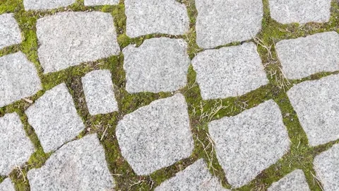 Cobblestone Pavement Texture With Moss Natural Stone Ground Background Stock Footage 334130535