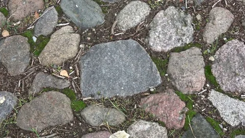 Cobblestone paving background, camera motion Stock Footage 79910117