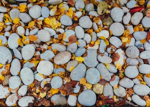 Cobblestone pebble foliage background Stock Photos