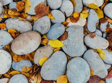 Cobblestone pebble foliage background Stock Photos