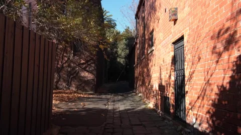 A cobblestone pedestrian-only laneway between old classic red brick house Vídeos de archivo 244139396