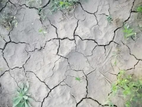 Cobblestone 库存照片