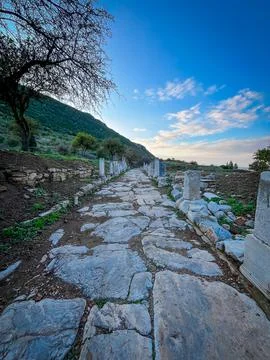 Cobblestone Processional Path Lines Up Between Marble Pedestals in Golden H.. Фото