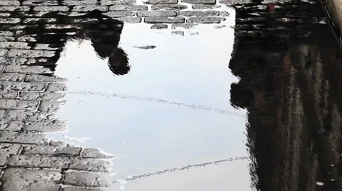 Cobblestone Puddle Reflection in SOHO NYC 動画素材 29597567