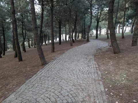 CobbleStone road for Creative Ideas Stock Photos