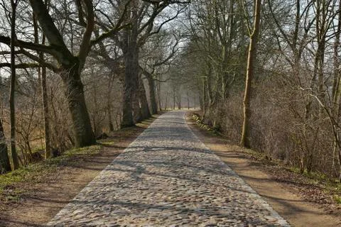 Cobblestone Road in Early Spring, Schaalsee, Western Pomerania, Germany Stock Photos
