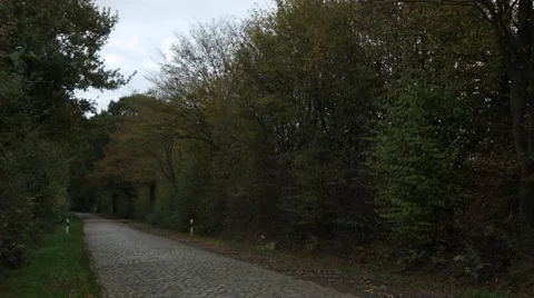 Cobblestone road Stock Footage 46109287