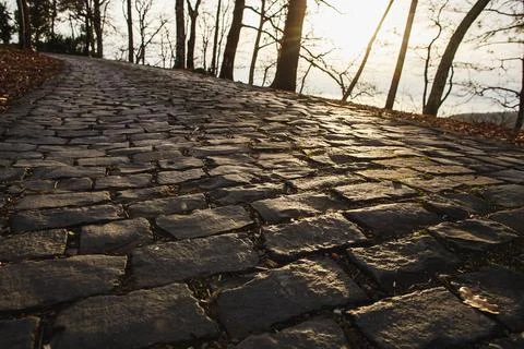 Cobblestone road going down. Sunset in forest. Road of large stones Stock Photos