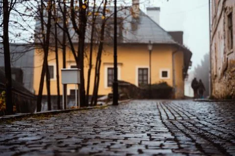 Cobblestone Road Path Closeup Depth of Field Overcast Weather Texture Asphalt Stock Photos
