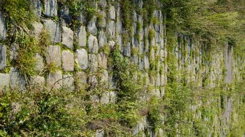 Cobblestone road with weed Fotos Stock